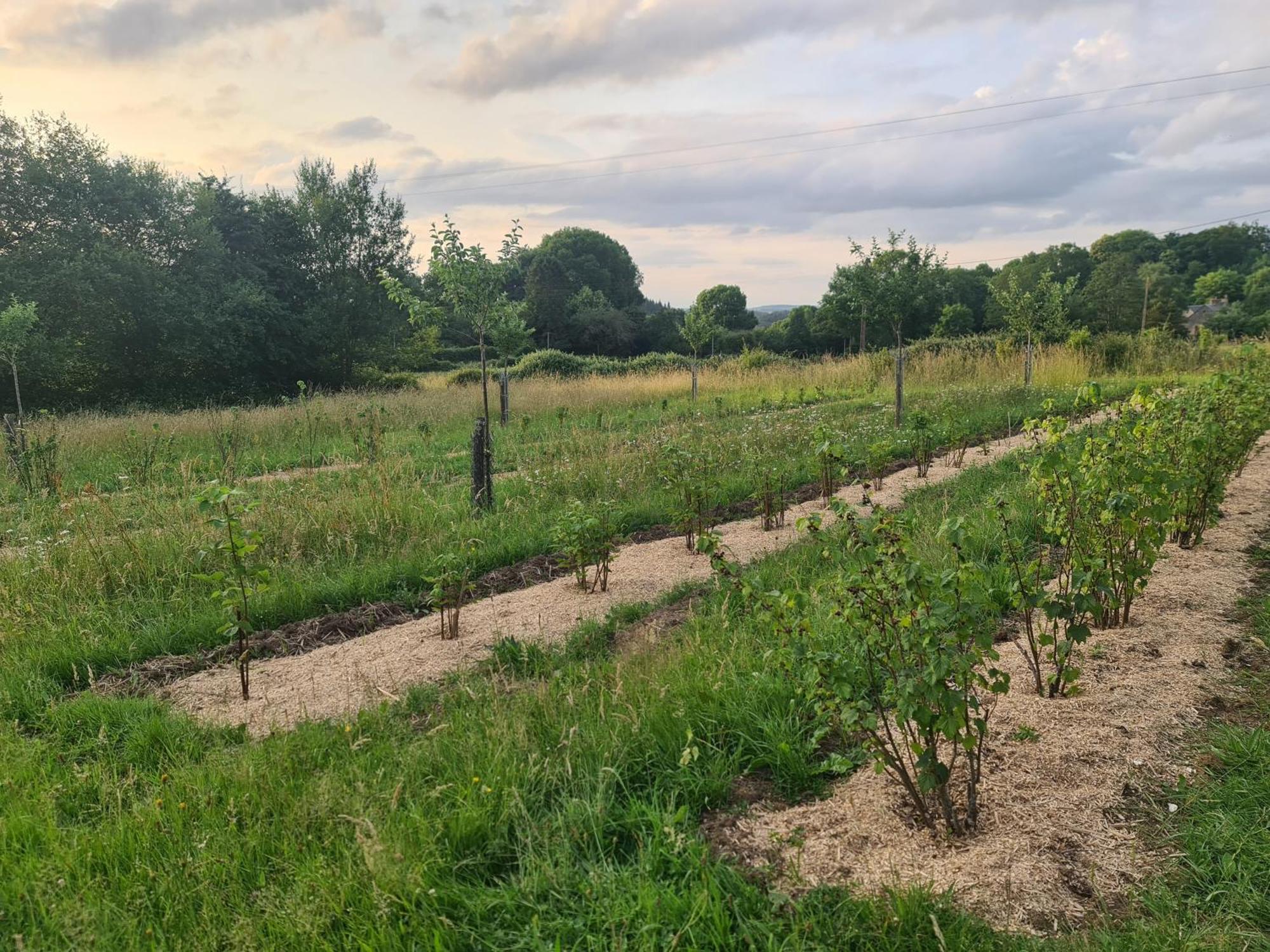 A La Ferme, Les Vergers Du Muscardin Farm stay Breel